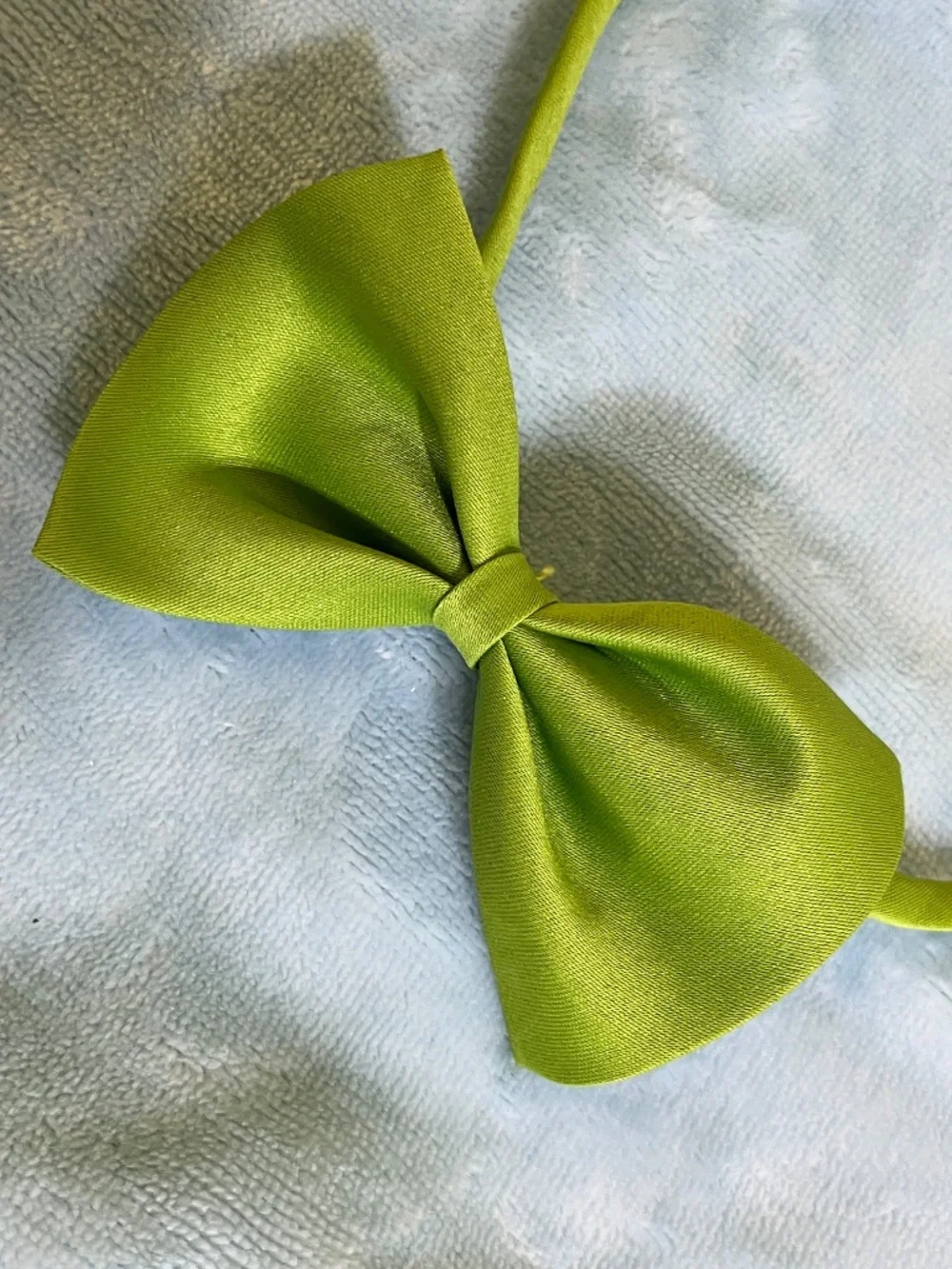 Pet Lover Bundle – Adjustable Green Bow Tie + Decorative Hook 🐾💚